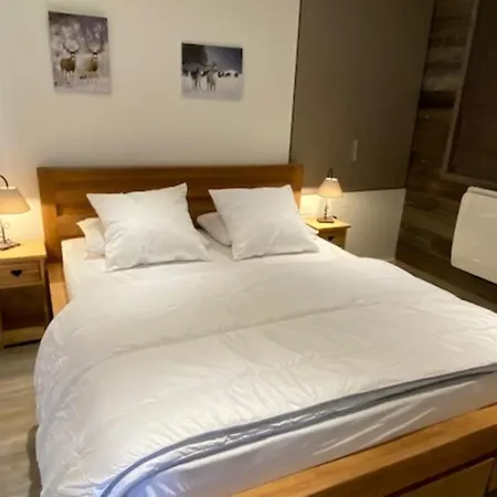 公寓 Le Bouquetin 8 Person 50m From Slopes In The Heart Of The Village