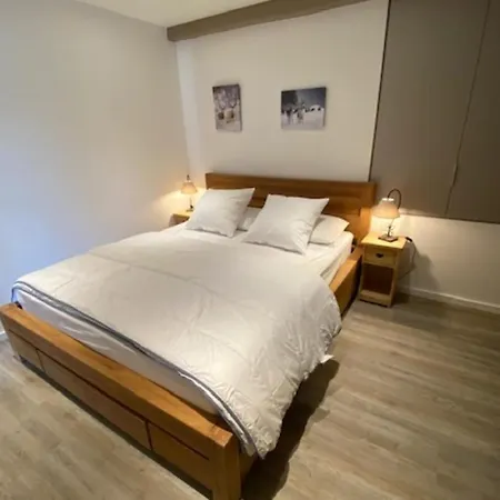 Le Bouquetin 8 Person 50m From Slopes In The Heart Of The Village