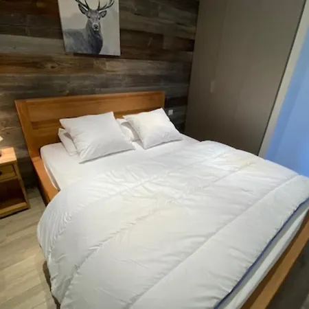 Le Bouquetin 8 Person 50m From Slopes In The Heart Of The Village דירה לה פלאנייה